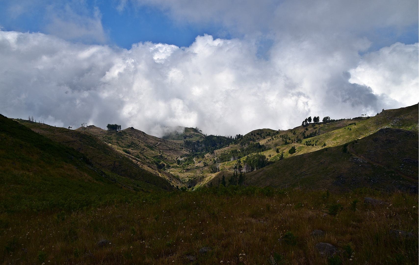 Schattenspiel / Madeira