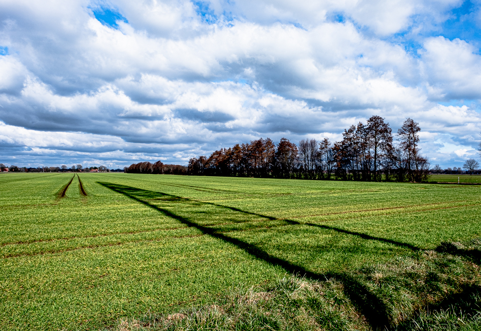 Schattenspiele