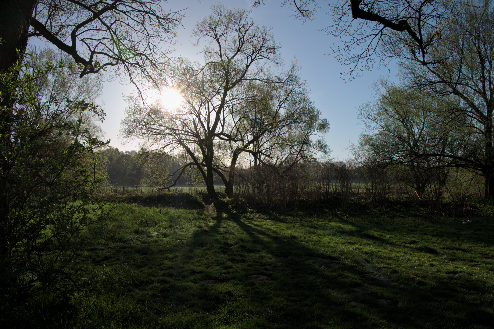 Schattenspiele an der Wupper