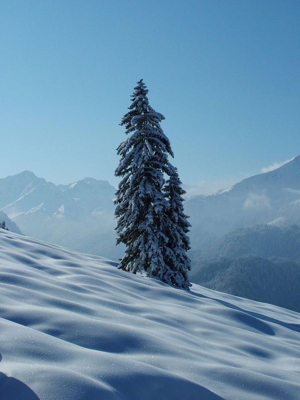 Schattenspiele im Schnee