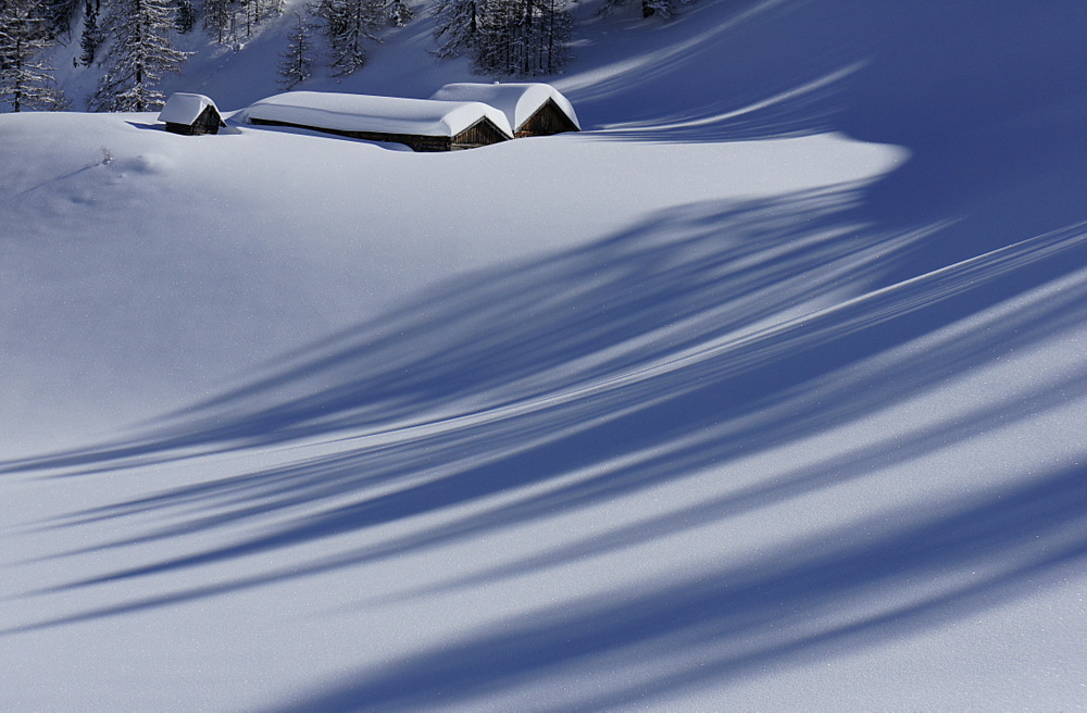 Schattenspiele im Winter