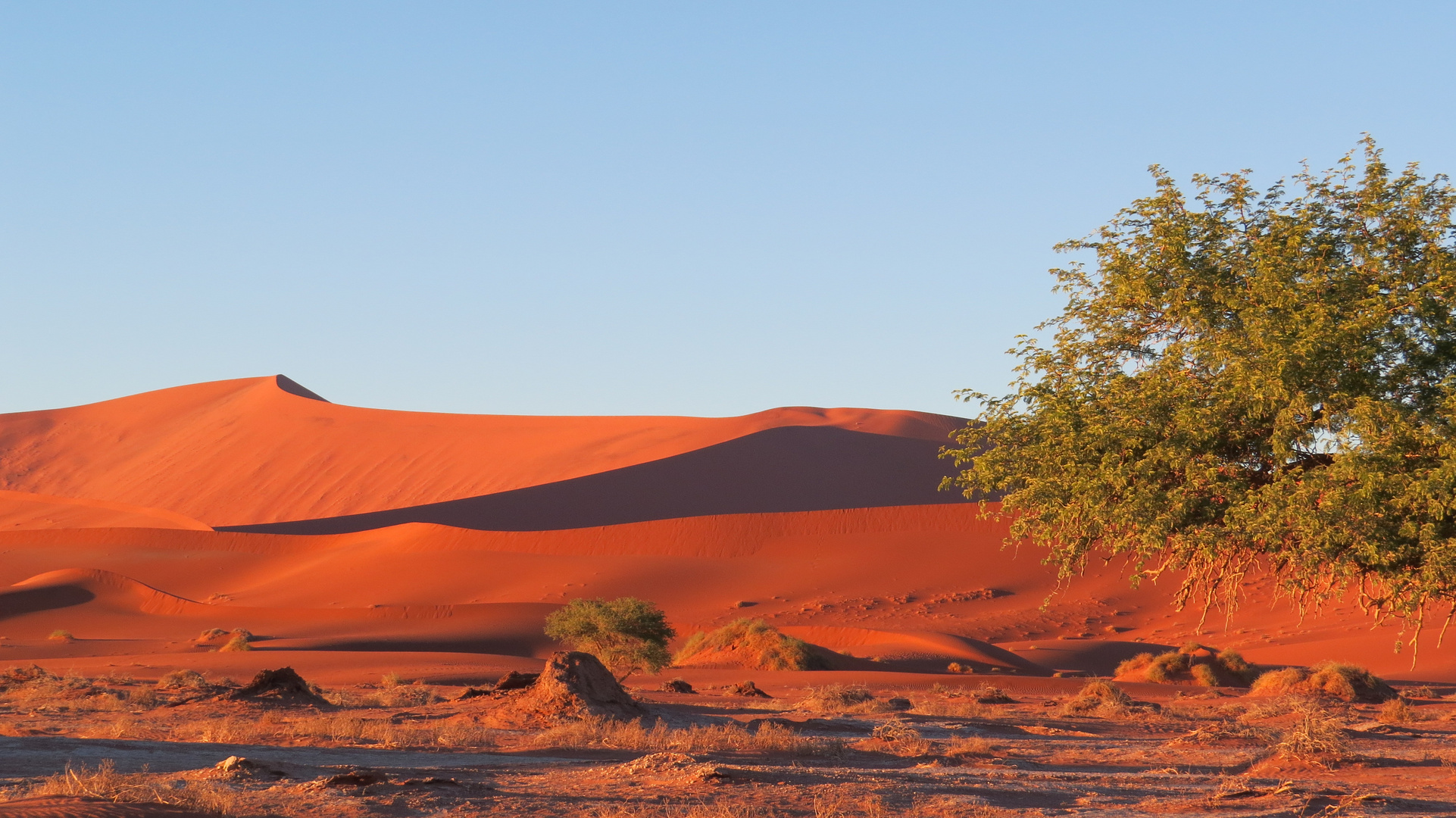 Schattenspiele in der Namibwüste