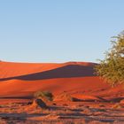 Schattenspiele in der Namibwüste
