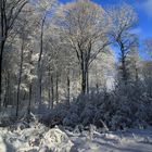 Schattenspiele in der Winterlandschaft