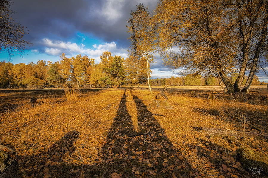 Schattenspiele- Lange Schatten