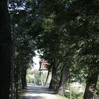 Schattenweg