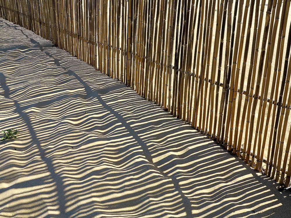 Schattenwellen im Sand / Le ombre ondulate sulla sabbia (1)