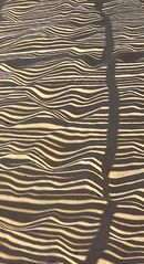 Schattenwellen im Sand / Le ombre ondulate sulla sabbia (2)