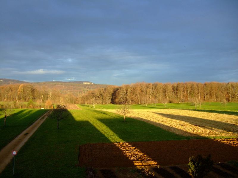 Schattenwurf an einem frühen Wintermorgen