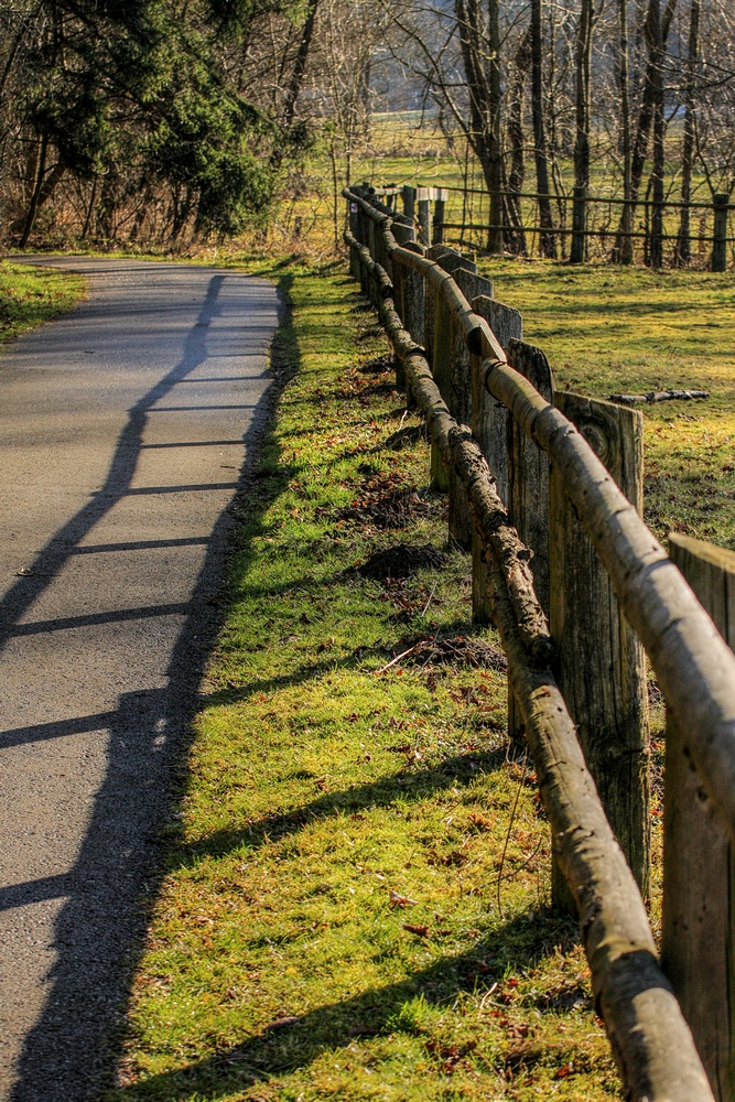 Schattenzaun am Wegesrand