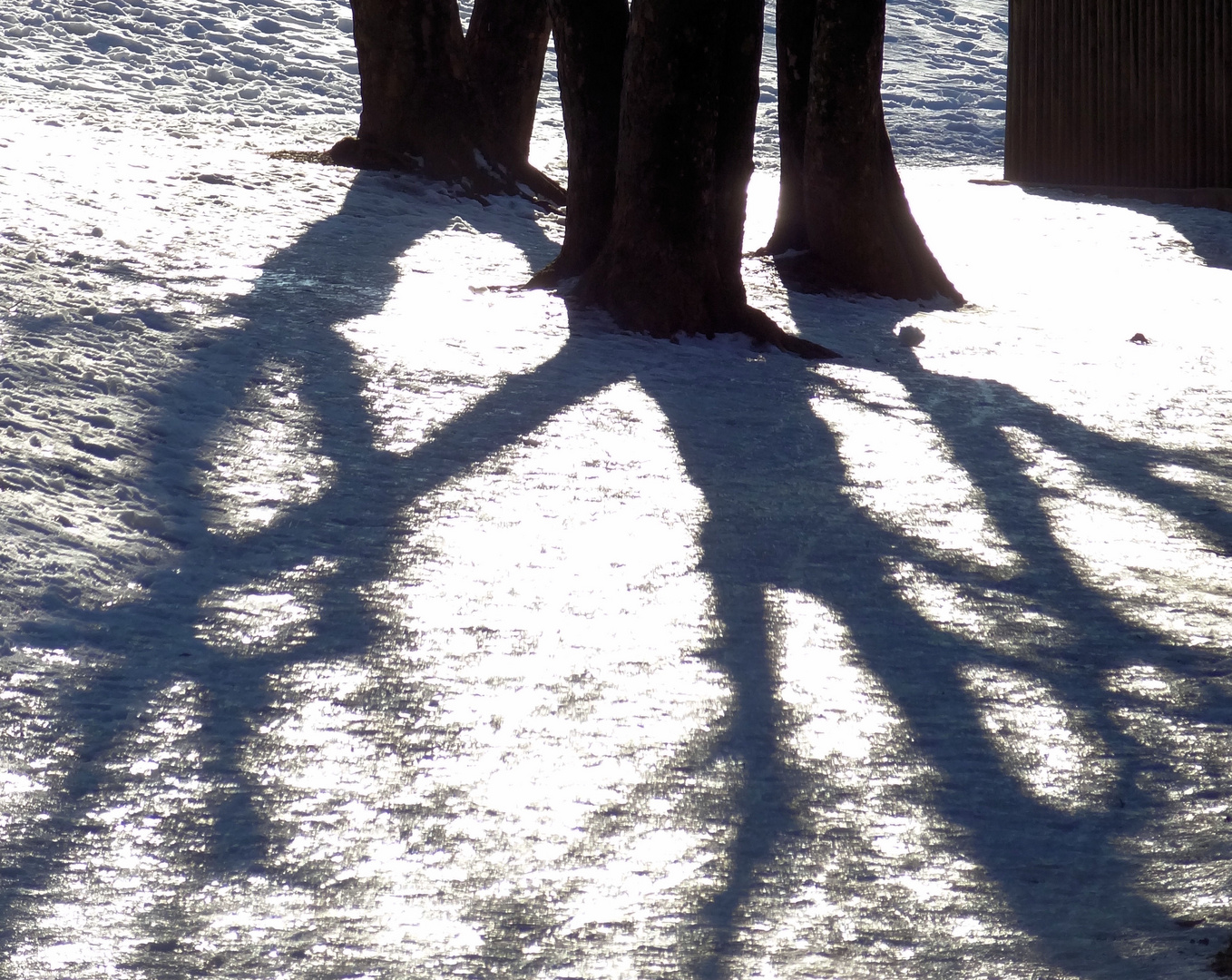 schattenzeichnung im schnee