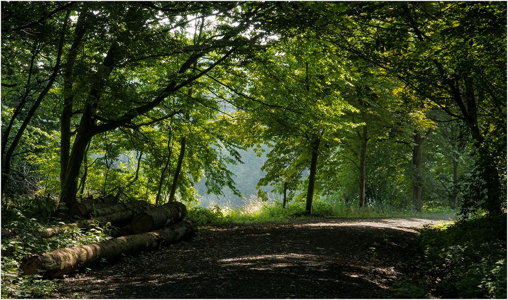 Schattiger Waldweg...