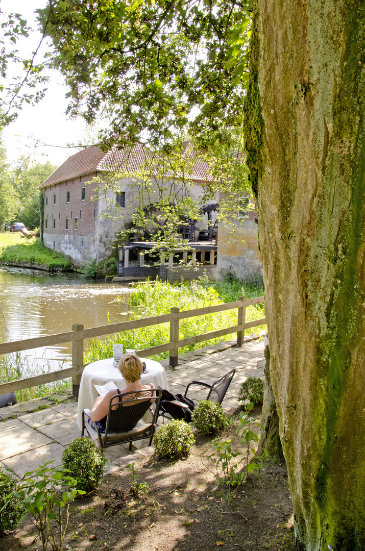 Schattiges Plätzchen am Mühlenteich