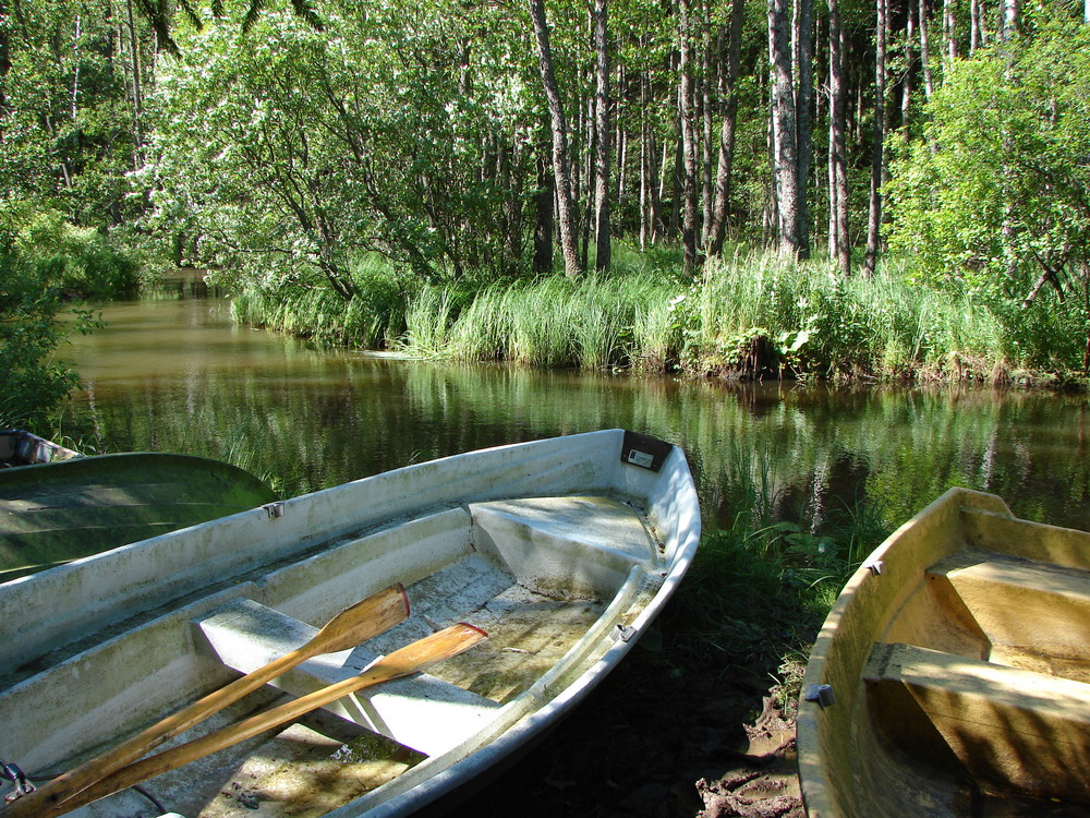 Schattiges Plätzchen an einem Seeausläufer im Nuuksio Nationalpark, Finnland