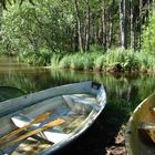 Schattiges Plätzchen an einem Seeausläufer im Nuuksio Nationalpark, Finnland