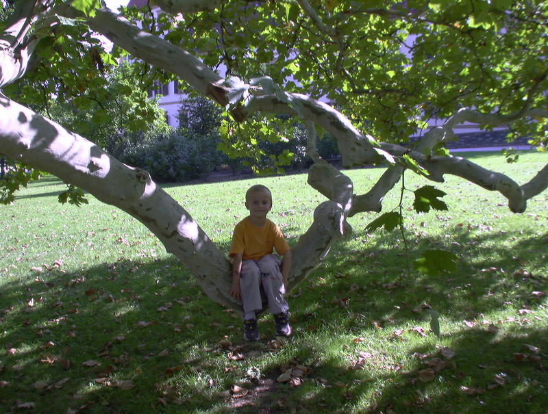 Schattiges Plätzchen beim Schloss Eggenberg