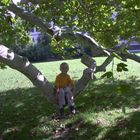 Schattiges Plätzchen beim Schloss Eggenberg