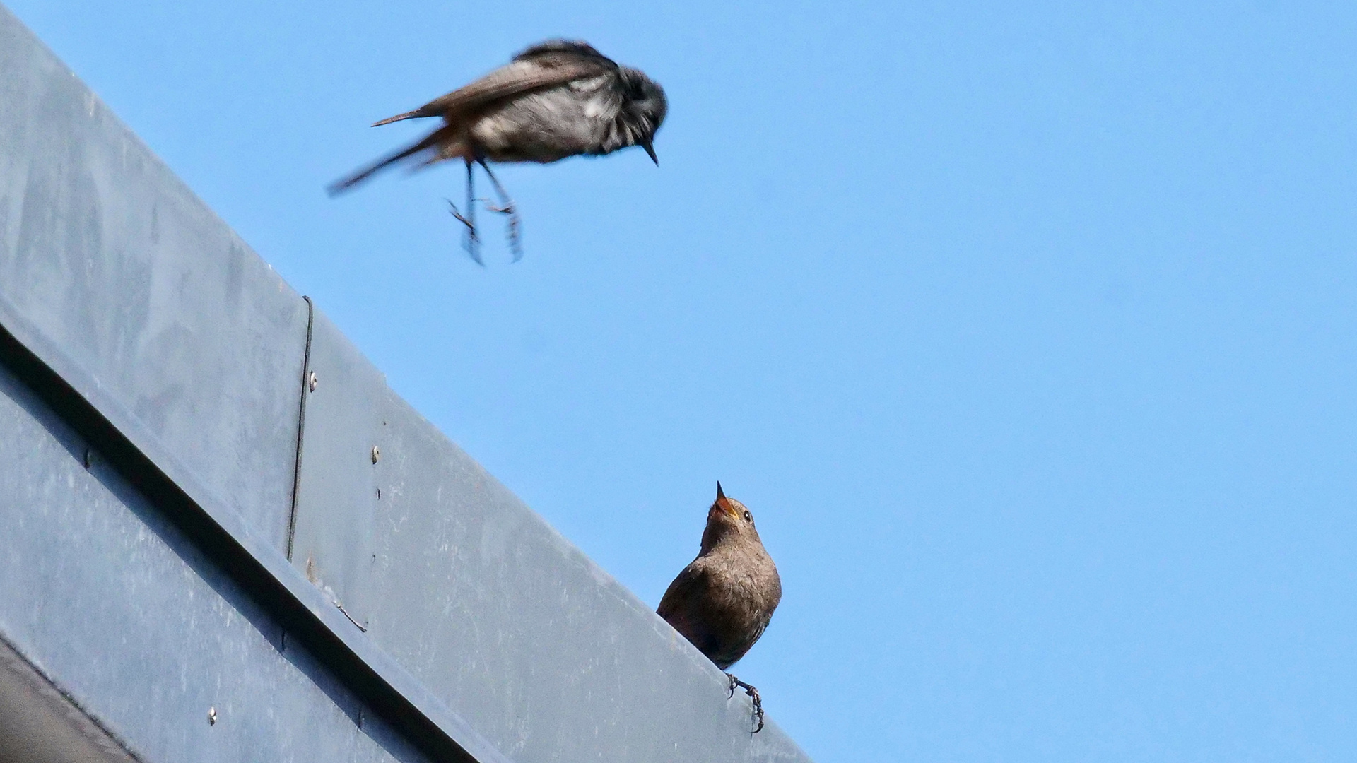 Schatz, bin im Anflug