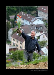 Schatz, ich hab Tulpen für Dich!