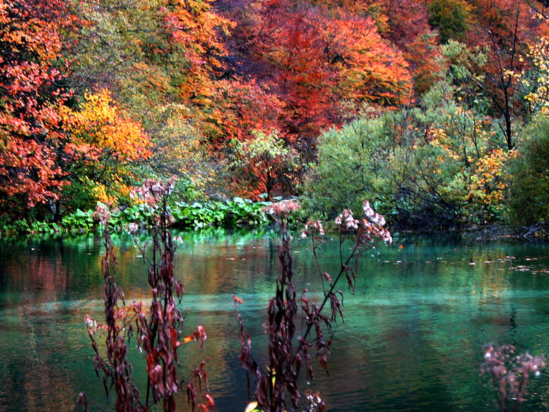 Schatz im Silbersee