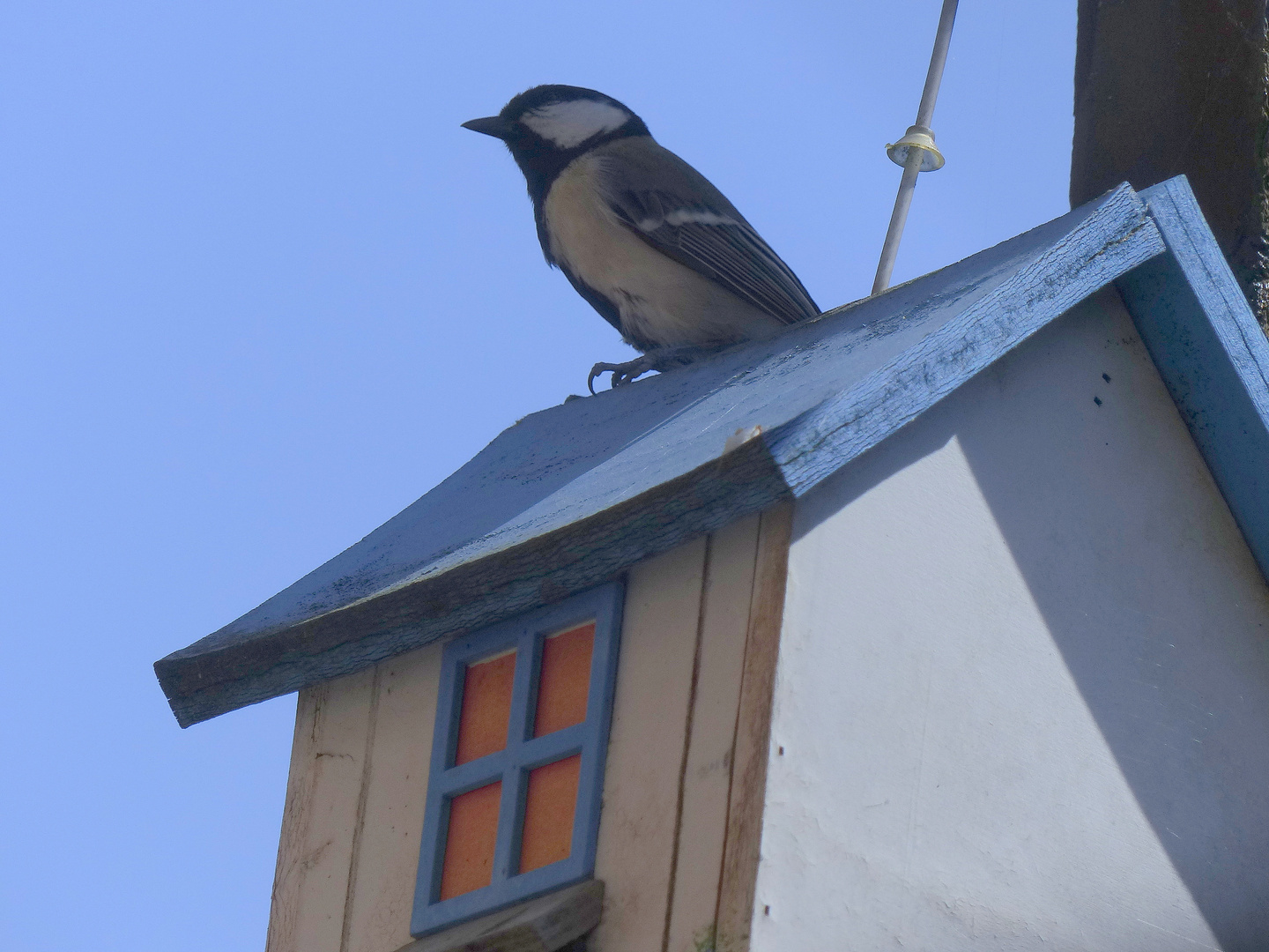 Schatzi, ich hab ein Traumhaus gefunden....