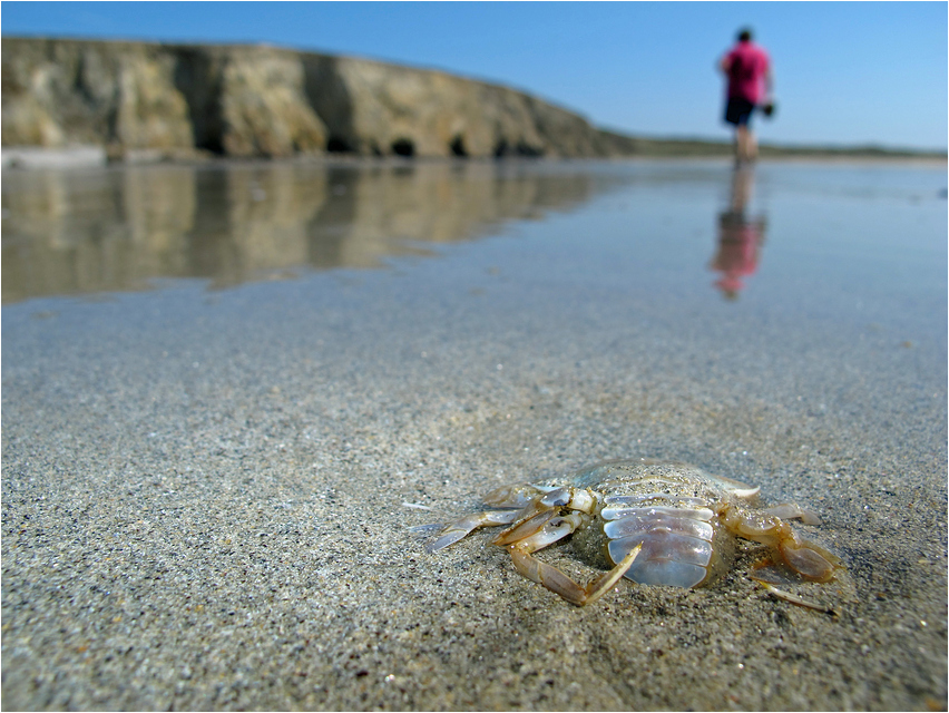 Schatzkammer Strand