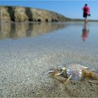 Schatzkammer Strand