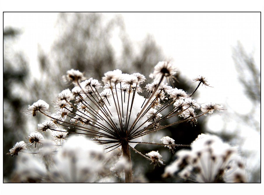 Schau aus dem Fenster...