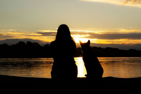 Schau, da geht es hin