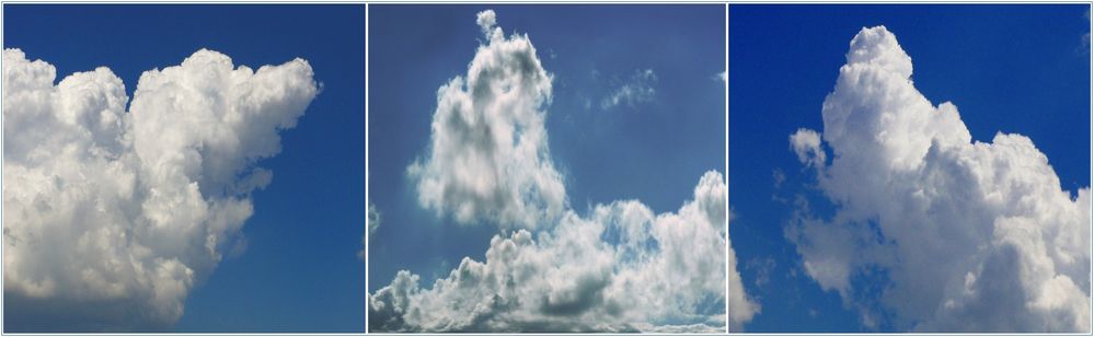 ..... schau den weißen Wolken nach - und fange an zu träumen.