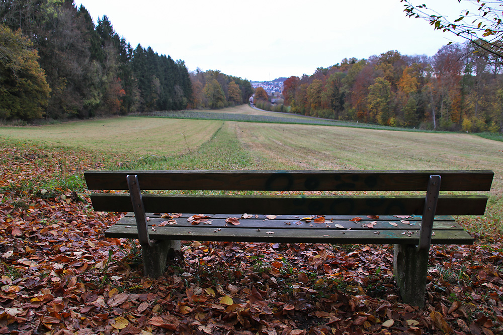 schau hinaus auf´s Land...