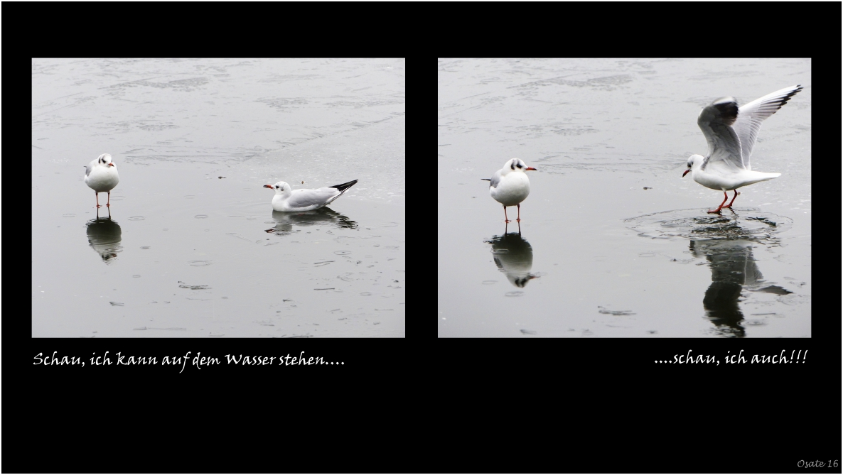 Schau ich kann auf dem Wasser stehen....