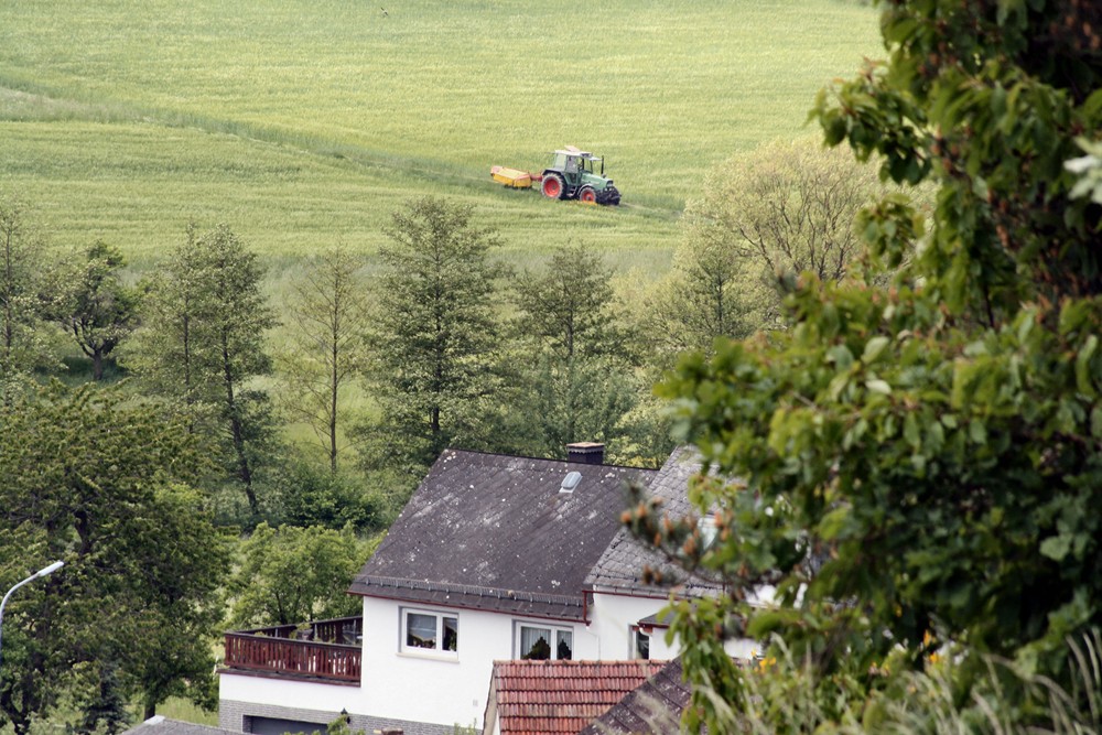 schau ich zum Fenster heraus..