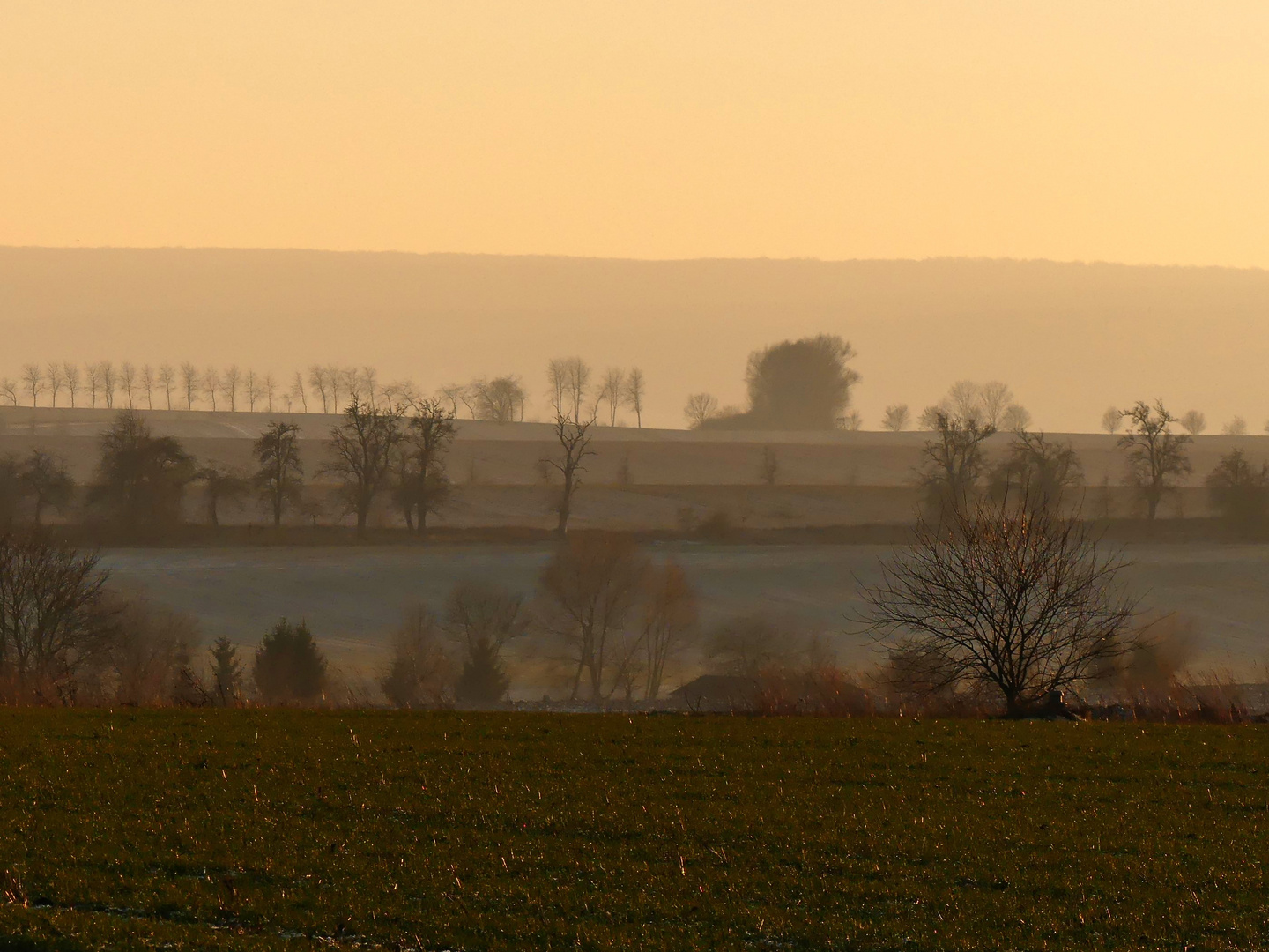 "Schau-ins-Land"