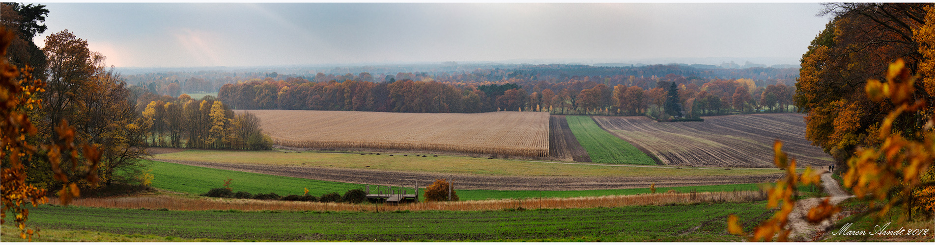 Schau in´s Land