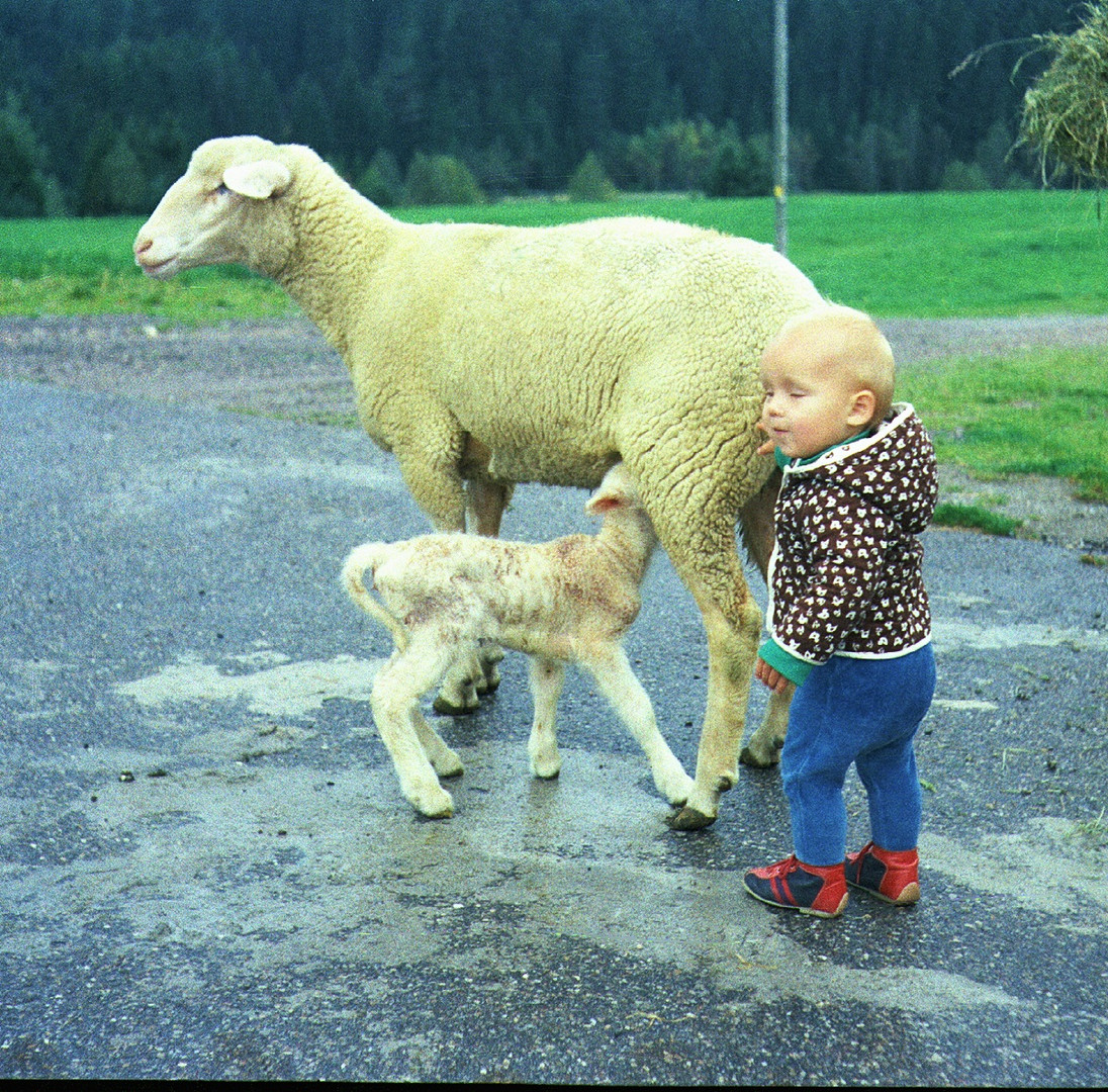 Schau mal, Mami