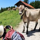 Schau mir in die Augen