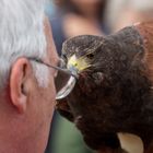 Schau mir in die Augen...