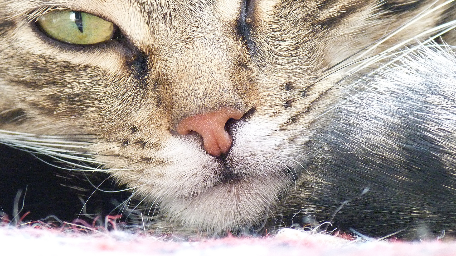 Schau mir in die Augen....