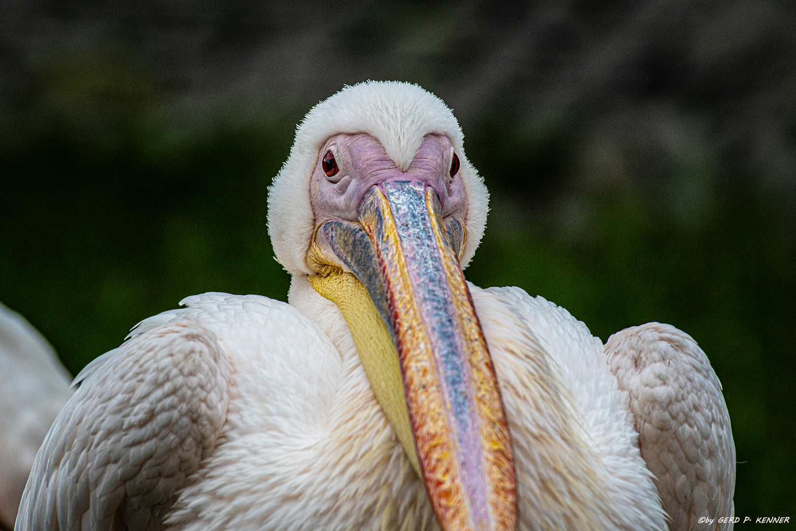 Schau mir in die Augen ....