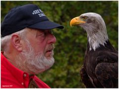 schau mir in die augen, boss.....