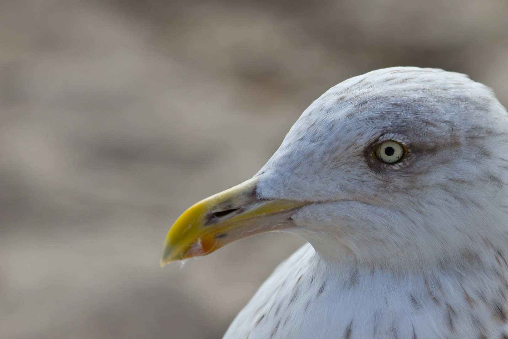 Schau mir in die Augen ... ;-)