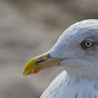 Schau mir in die Augen ... ;-)