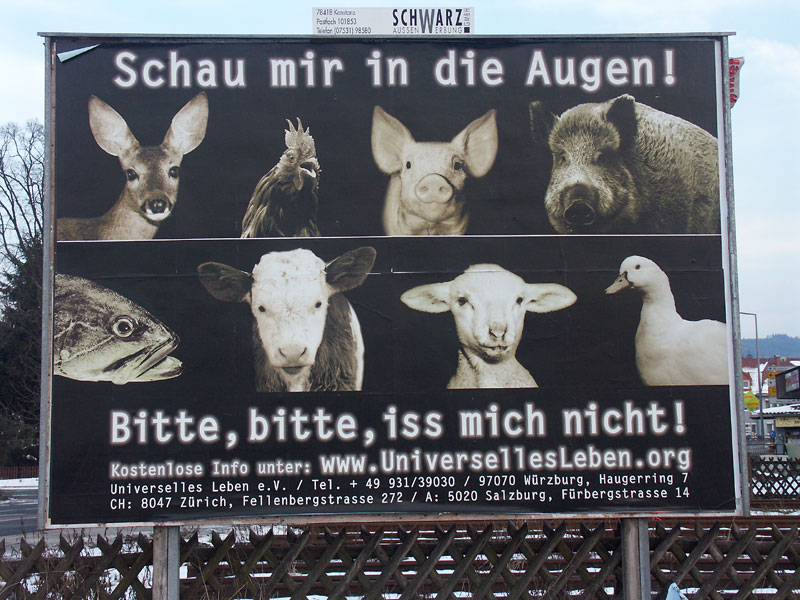 Schau mir in die Augen! Foto & Bild werbe und produkt fotografie