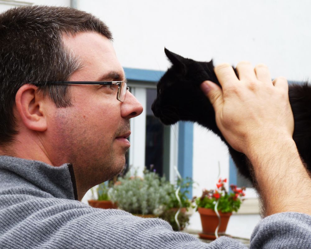 Schau mir in die Augen, Katze!