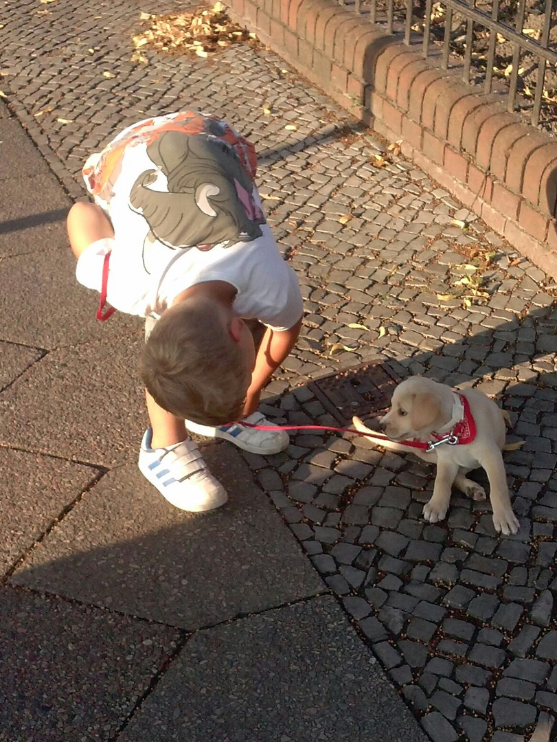 "Schau mir in die Augen kleine..."