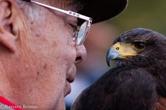 schau mir in die Augen Kleiner