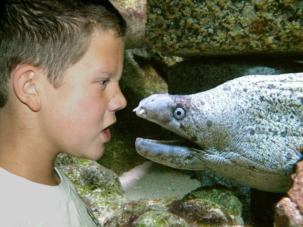 Schau mir in die Augen Kleiner (Die 2-te)