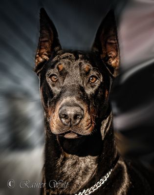 Schau mir in die Augen kleines