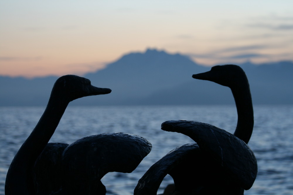 Schau mir in die Augen! Zug Richtung Pilatus